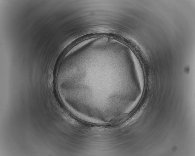 X0000097631065200803211804