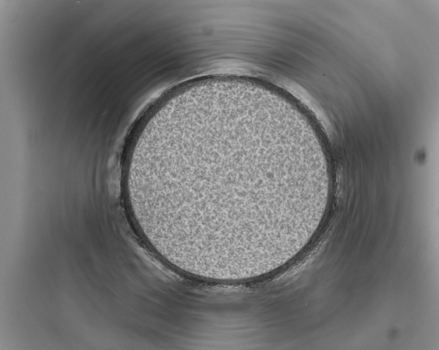 X0000097631067200803211804