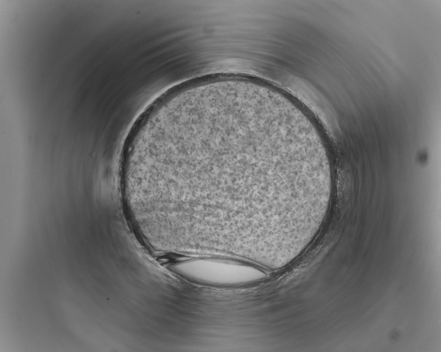 X0000097631068200803211804