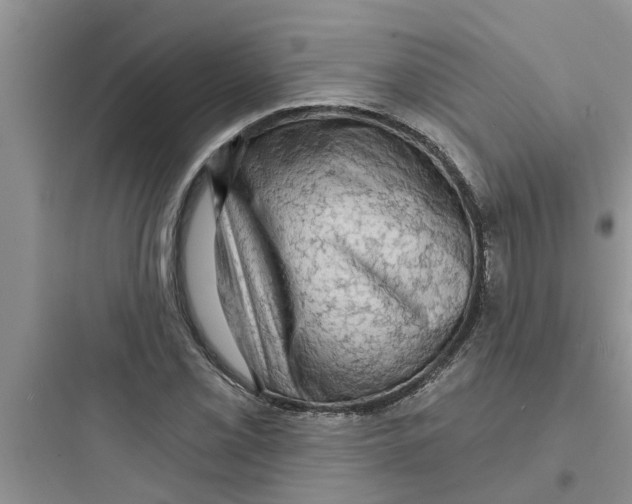 X0000097631069200803211804