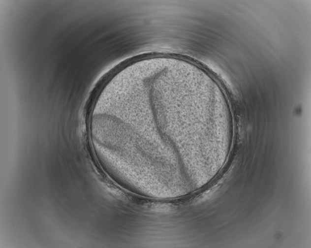 X0000097631070200803211804