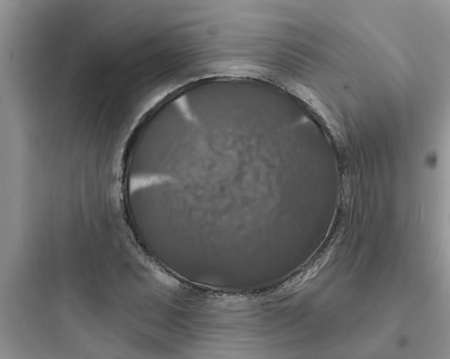 X0000097631071200803211804