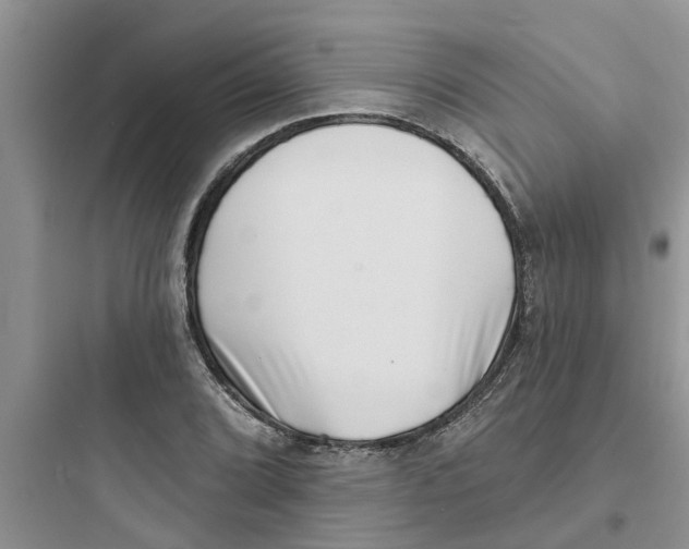 X0000097631072200803211804