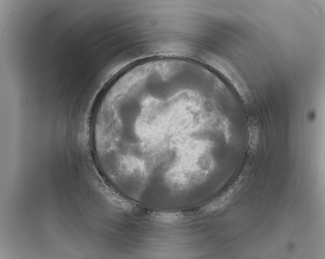 X0000097631074200803211804