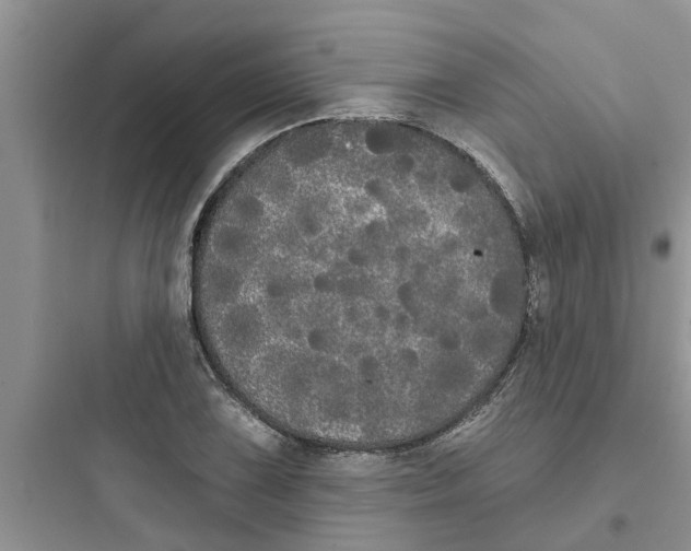 X0000097631075200803211804