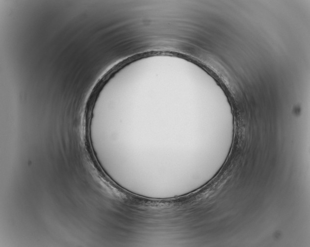 X0000097631076200803211804