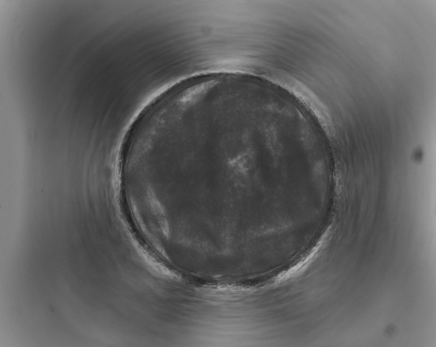 X0000097631077200803211804