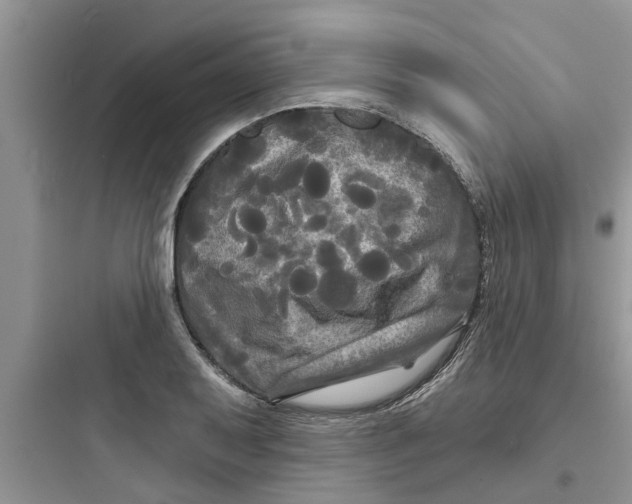 X0000097631079200803211804