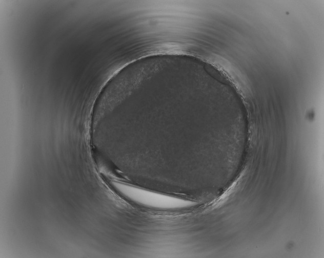 X0000097631081200803211804