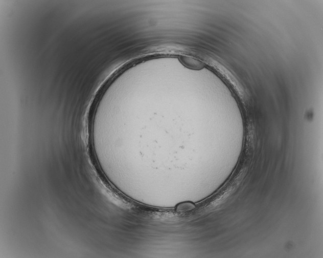 X0000097631082200803211804