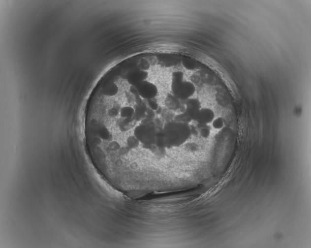 X0000097631083200803211804