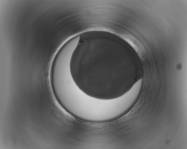 X0000097631084200803211804