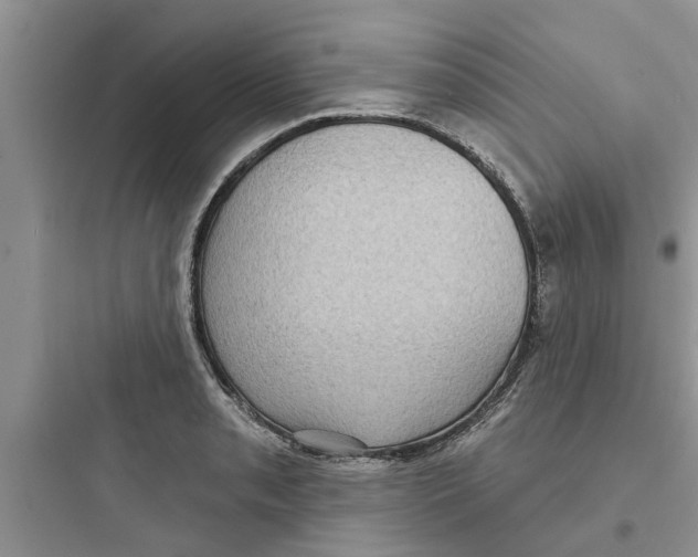 X0000097631085200803211804