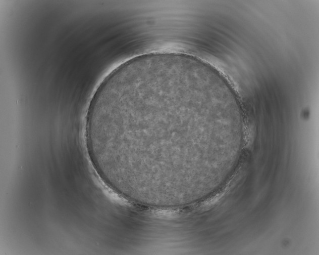 X0000097631086200803211804