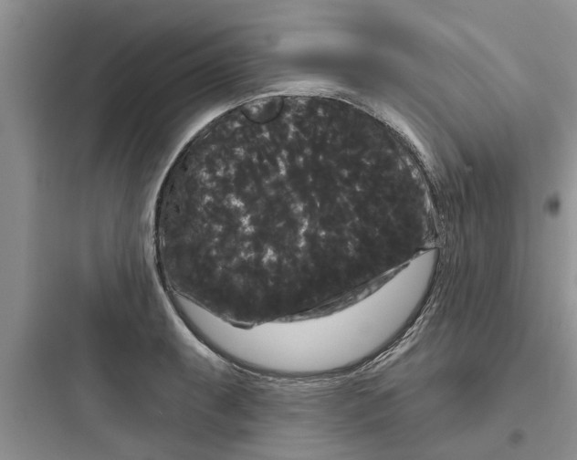 X0000097631087200803211804