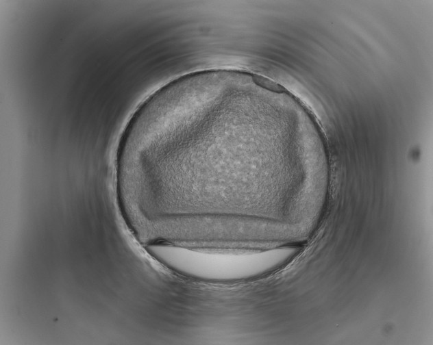 X0000097631088200803211804