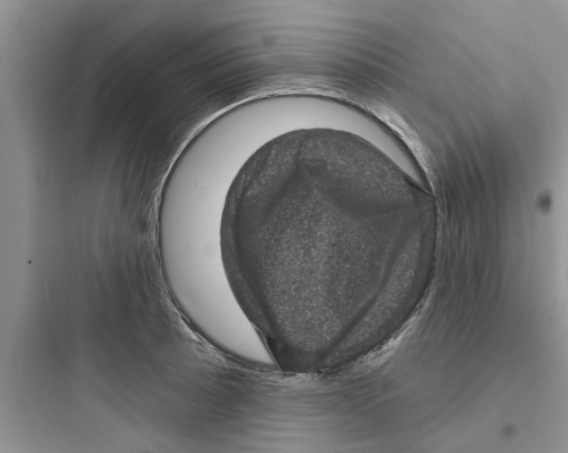 X0000097631089200803211804