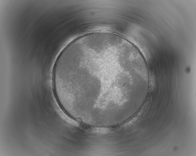 X0000097631090200803211804