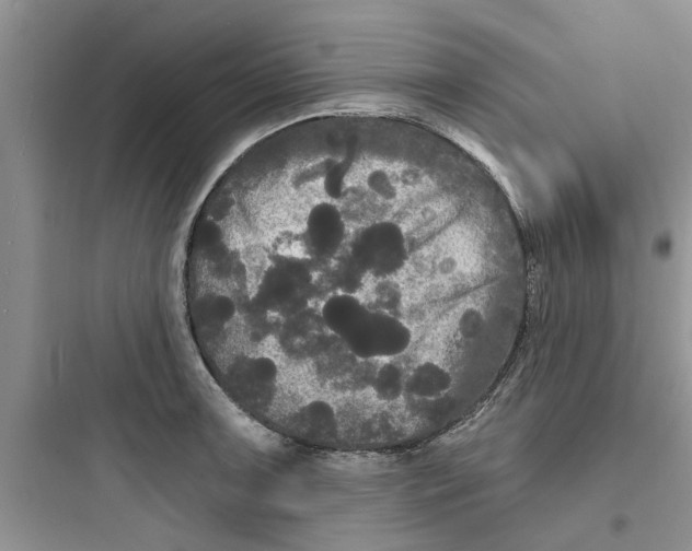 X0000097631091200803211804