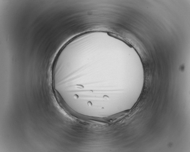 X0000097631092200803211804