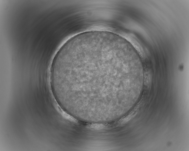 X0000097631094200803211803