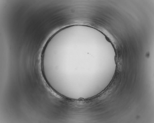 X0000097631096200803211803