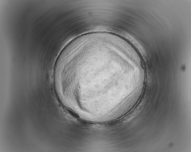 X0000097631097200803211803