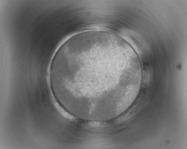 X0000097631098200803211803