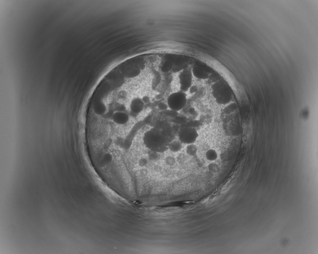 X0000097631099200803211803