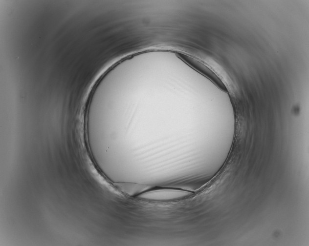 X0000097631100200803211803