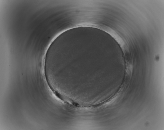 X0000097631102200803211803