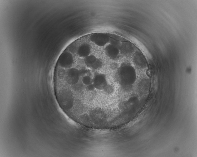 X0000097631103200803211803