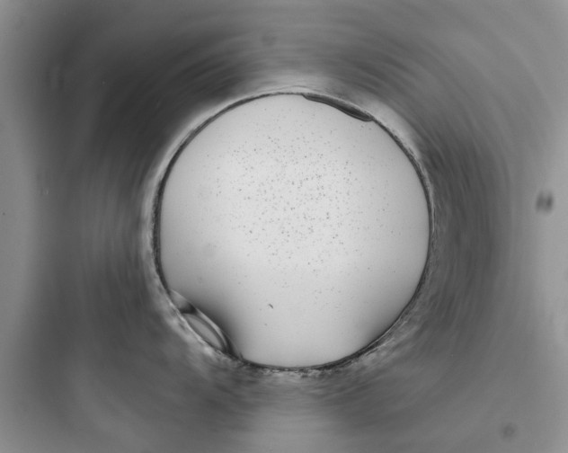 X0000097631104200803211803