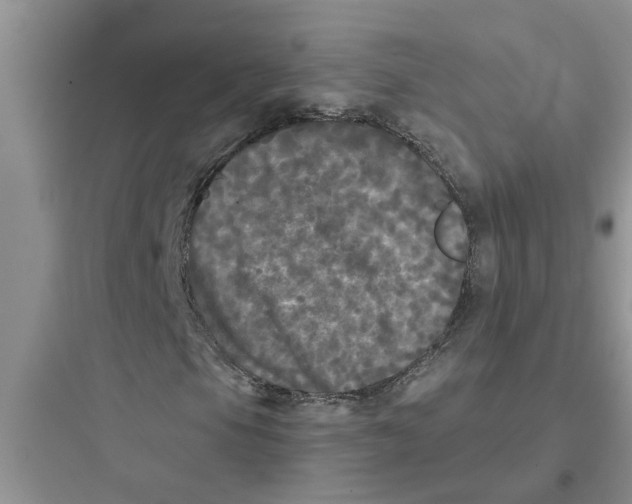 X0000097631105200803211802