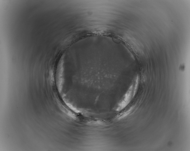 X0000097631106200803211802