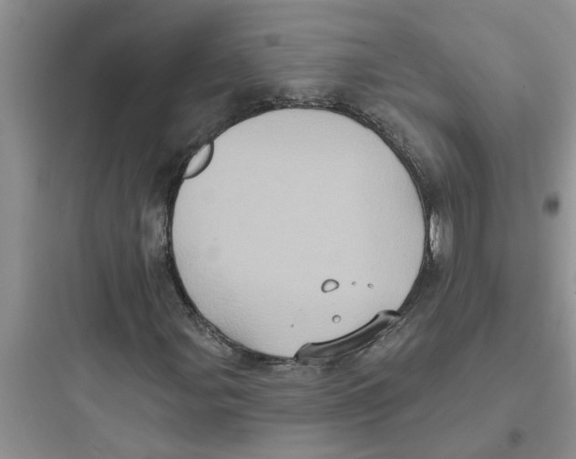 X0000097631107200803211802