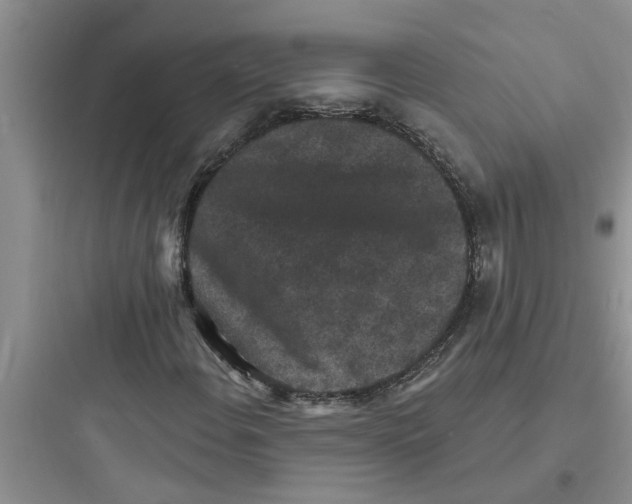 X0000097631108200803211802