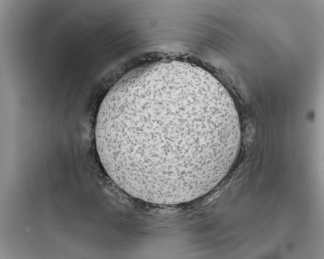 X0000097631110200803211803