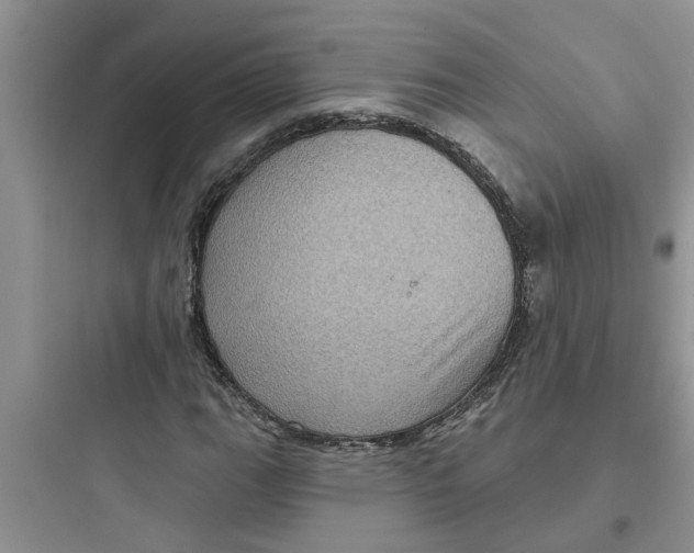 X0000097631111200803211803