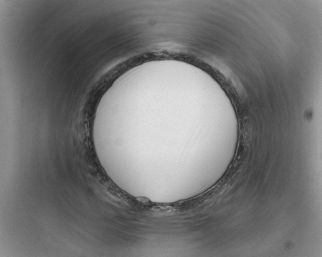 X0000097631112200803211803