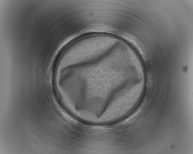 X0000097631114200803211803