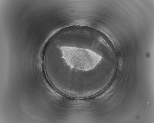 X0000097631115200803211803