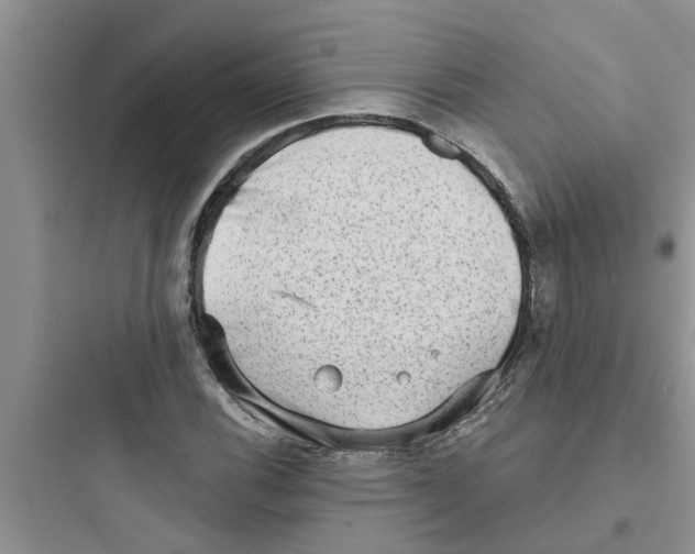 X0000097631116200803211803