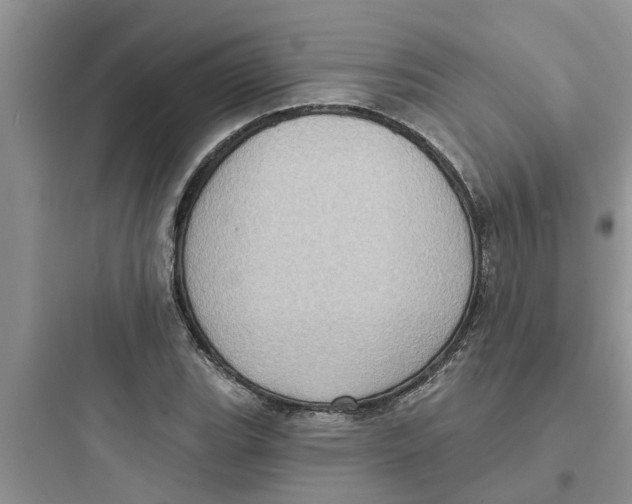 X0000097631119200803211803