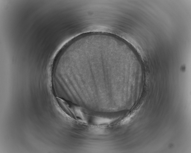 X0000097631120200803211803