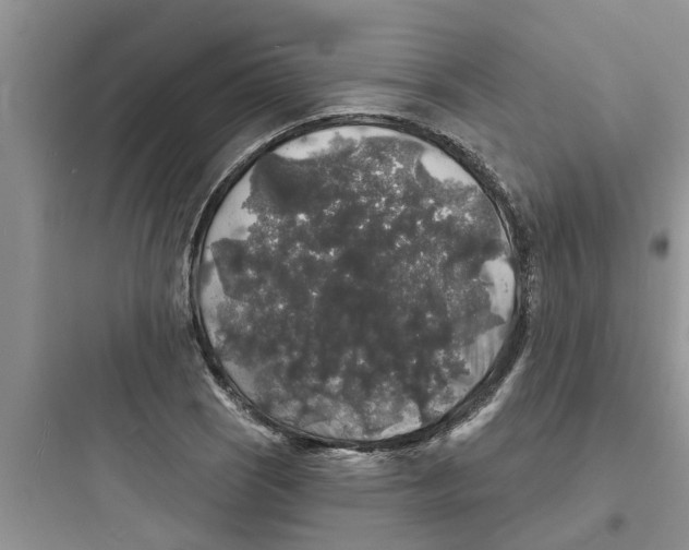 X0000097631121200803211803