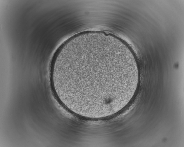 X0000097631122200803211803