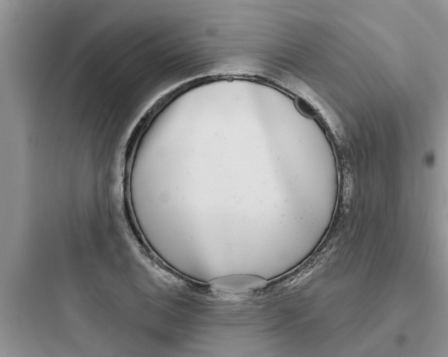 X0000097631124200803211803