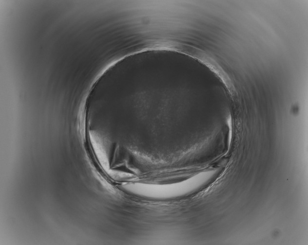 X0000097631127200803211803