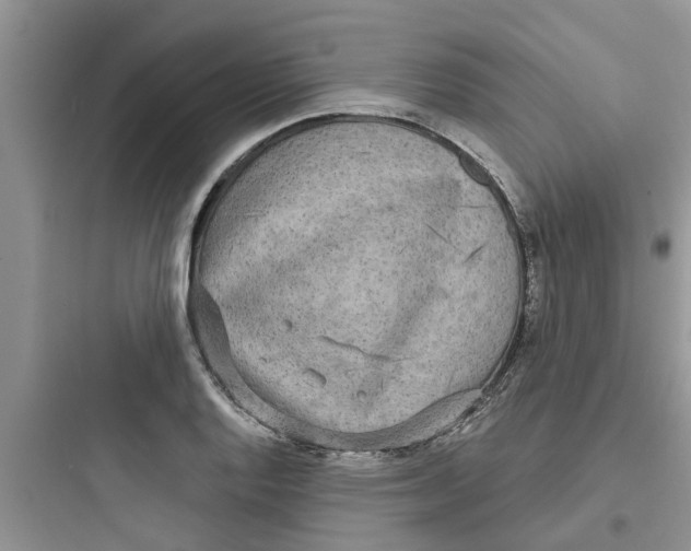 X0000097631128200803211803